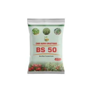 BS 50 Product