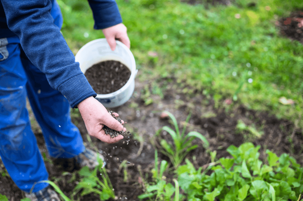 Bio Fertilizers Image