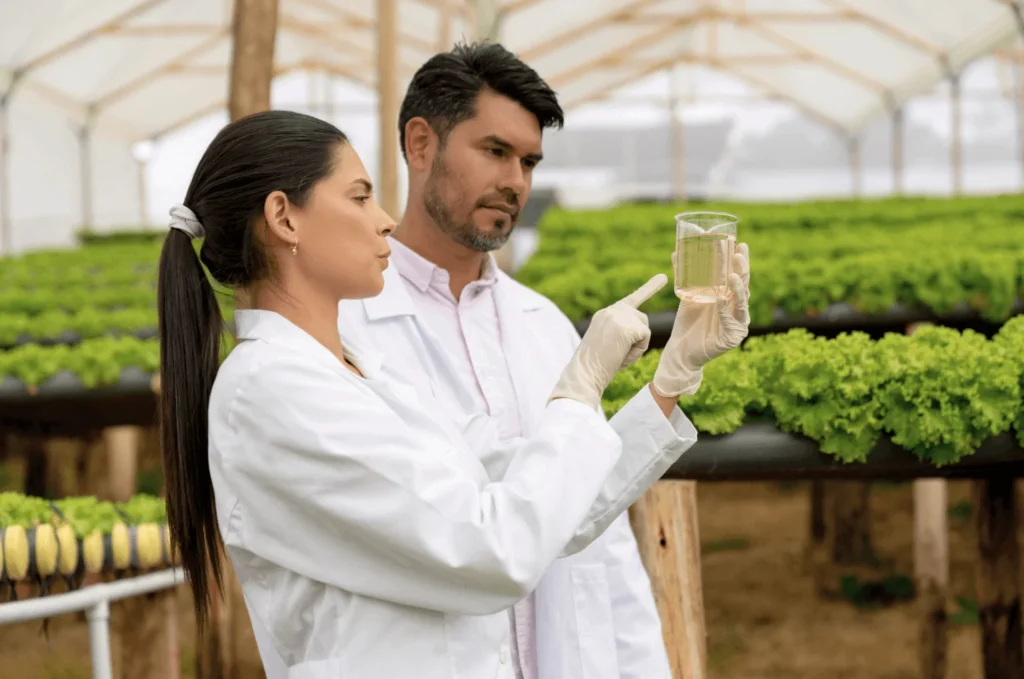 Expert-Advise Expert Advise Image