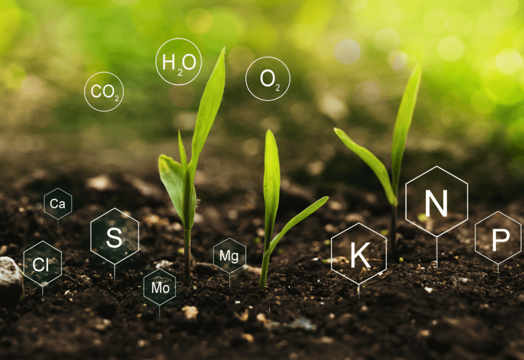 Specialty Nutrients Image